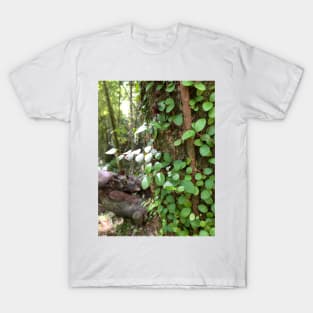 Vine T-Shirt